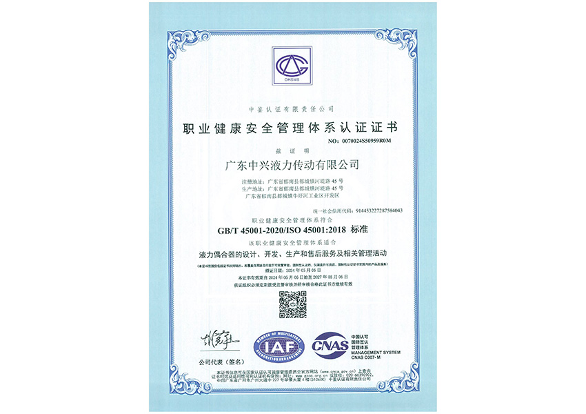 2024年職業(yè)健康安全管理體系認(rèn)證證書（中文）